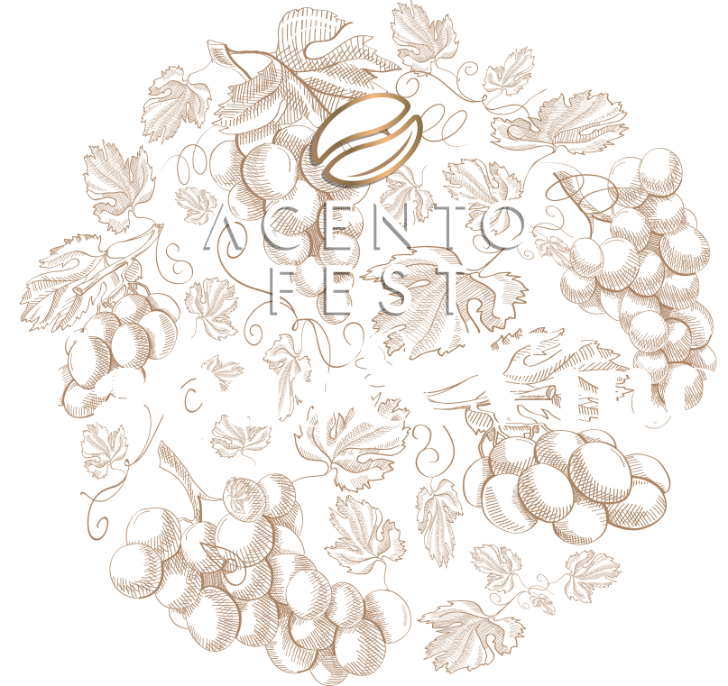 evento acento tapas y vino